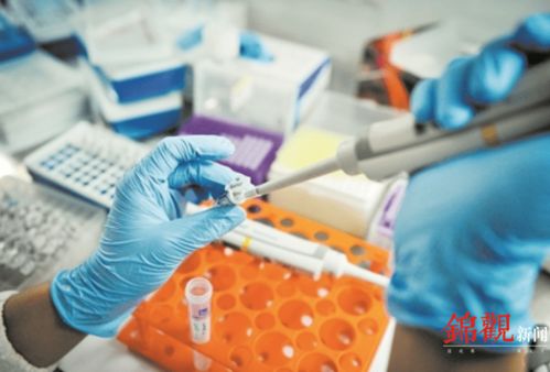 睿樂達再次吸睛 從機器人到原研藥，看成都566.8億元高新技術產品背后的創新韌性